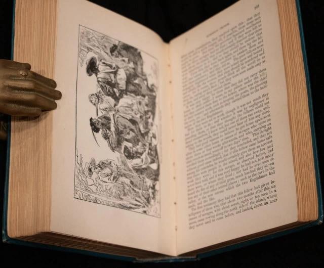 1880 Robinson Crusoe by Daniel Defoe Fine Binding Illustrated Color Plates Rare - 17