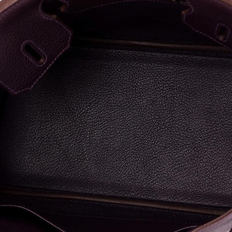 Hermes Birkin Handbag Purple Togo with Palladium Hardware 30 - 6