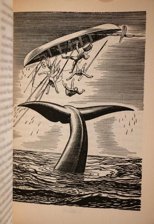 Herman Melville / Moby Dick or The Whale 1st Edition 1930 - 16