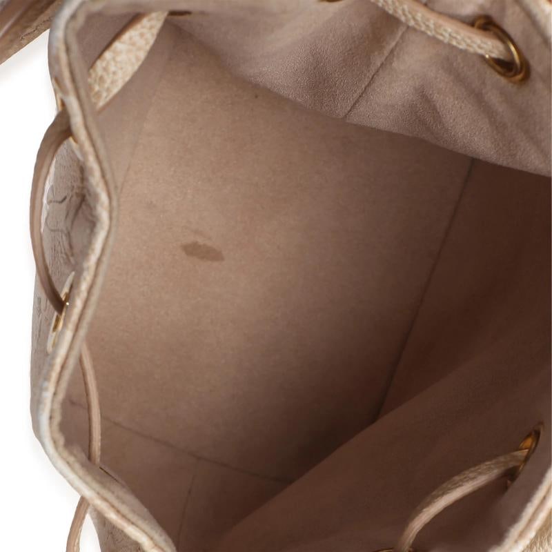 Louis Vuitton Beige Clair Monogram Empreinte Stardust Nano Noe - 3