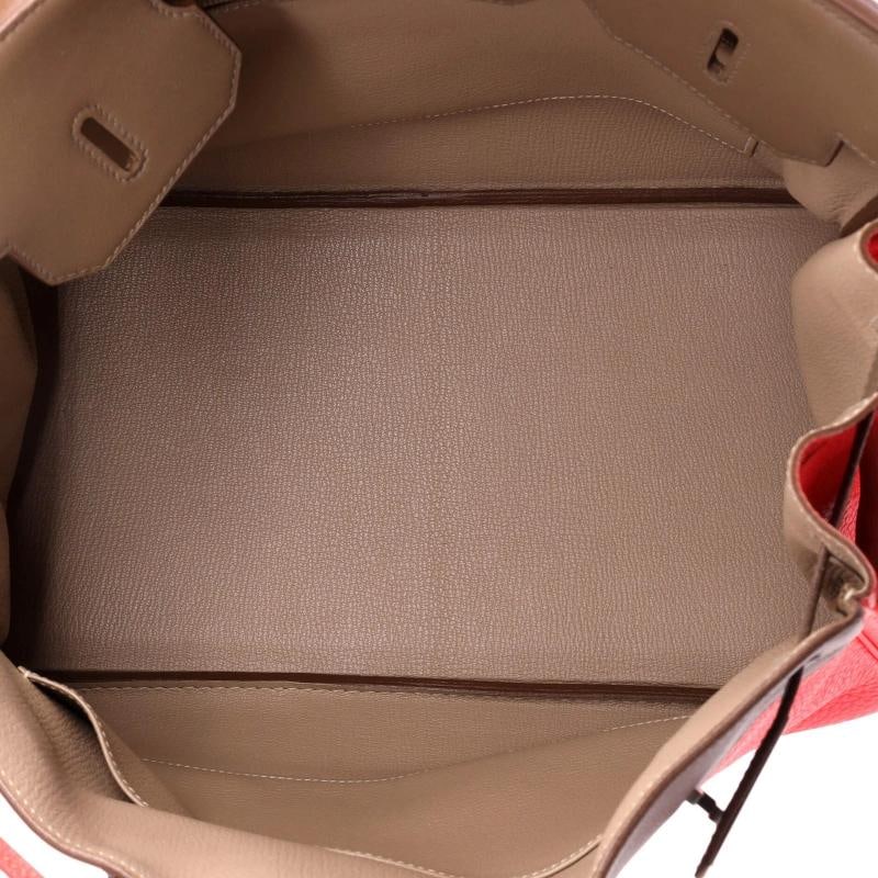 Hermes Birkin Handbag Cascade Tricolor Clemence and Swift with Brushed Palladium - 5