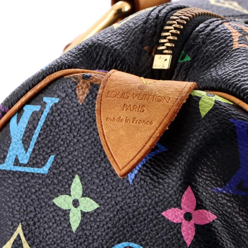 Louis Vuitton Speedy Handbag Monogram Multicolor 30 - 6