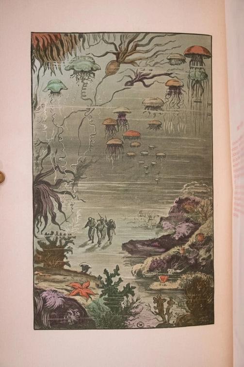 1911 The Works of Jules Verne Limited Edition Fine Leather Bindings Color Plates - 13