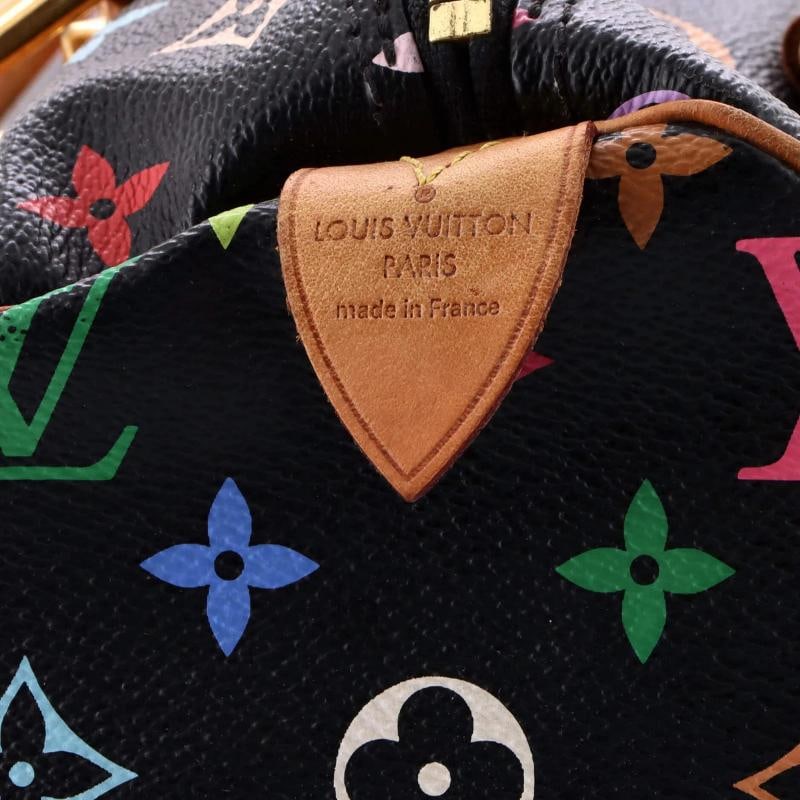 Louis Vuitton Speedy Handbag Monogram Multicolor 30 - 6