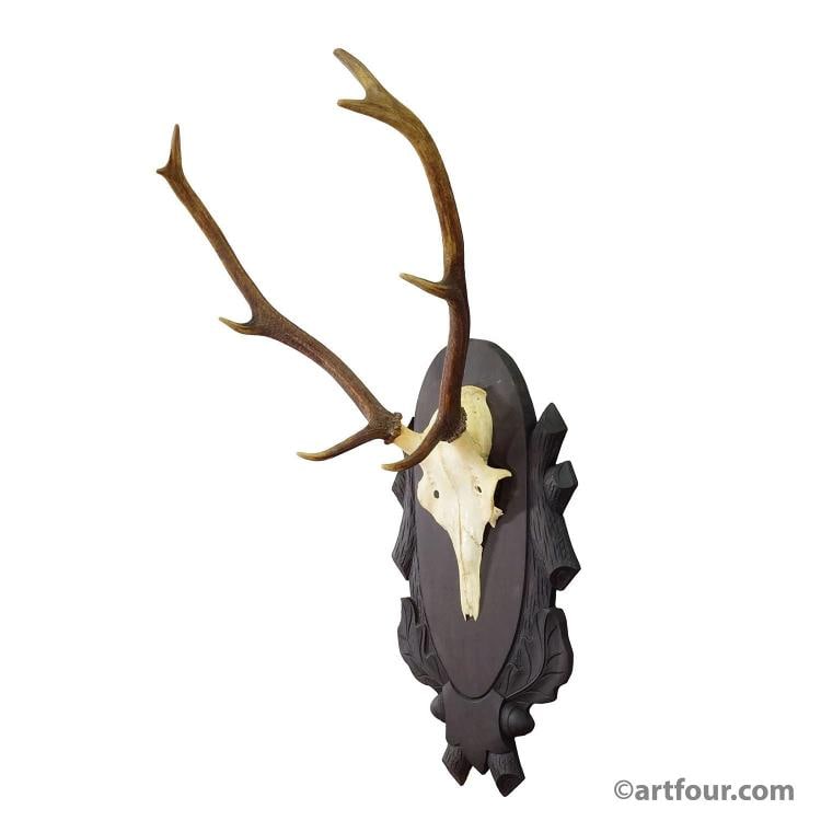 Large Black Forest 8 Pointer Red Deer Trophy on Carved Plaque ca. 1940s (1 of 8)