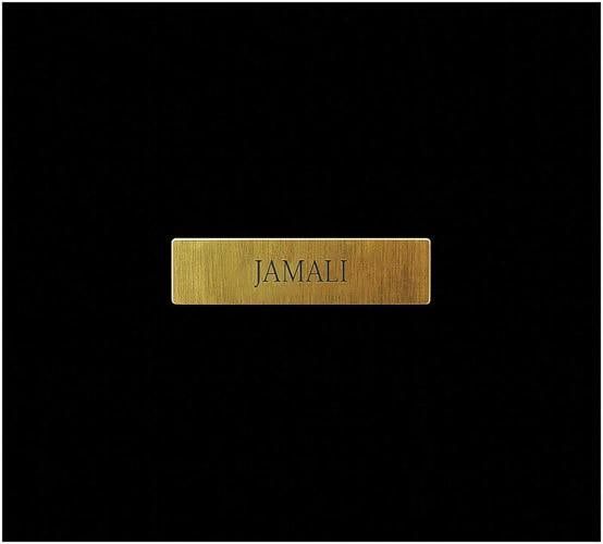 Jamali Original Figurative Portrait Pigmentation Painting On Cork Signed Framed - 4