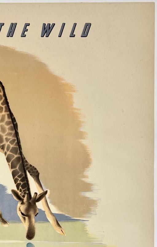 Original Vintage Poster CALL OF THE WILD SOUTH AFRICA GIRAFFE Travel Tourism OL - 3