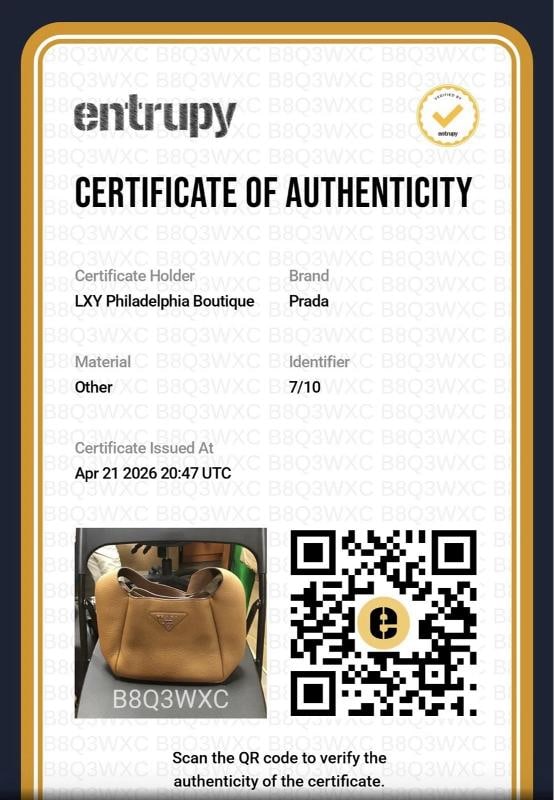 Prada Dynamique Daino Vitello Small Hobo in Camel Brown - 13