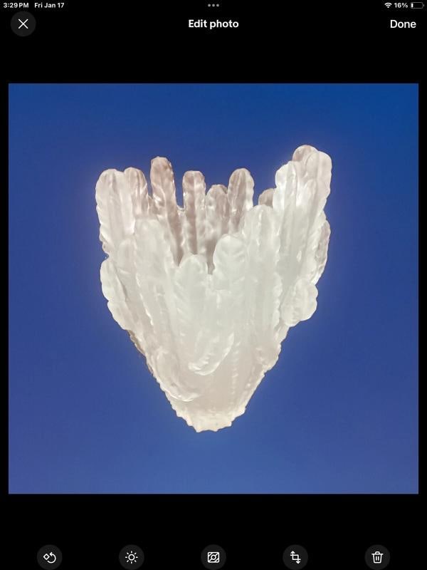 Nancy Daum Style Cactus Vase Clear Heavy Crystal Maker Unknown H10Ã¢â‚¬ - 13
