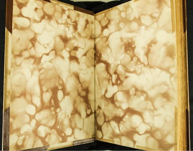 W G Waters / The Novellino of Masuccio Limited Edition 1895 - 8