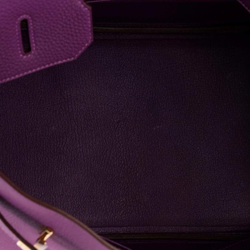 Hermes Birkin Handbag Purple Togo with Gold Hardware 35 - 6