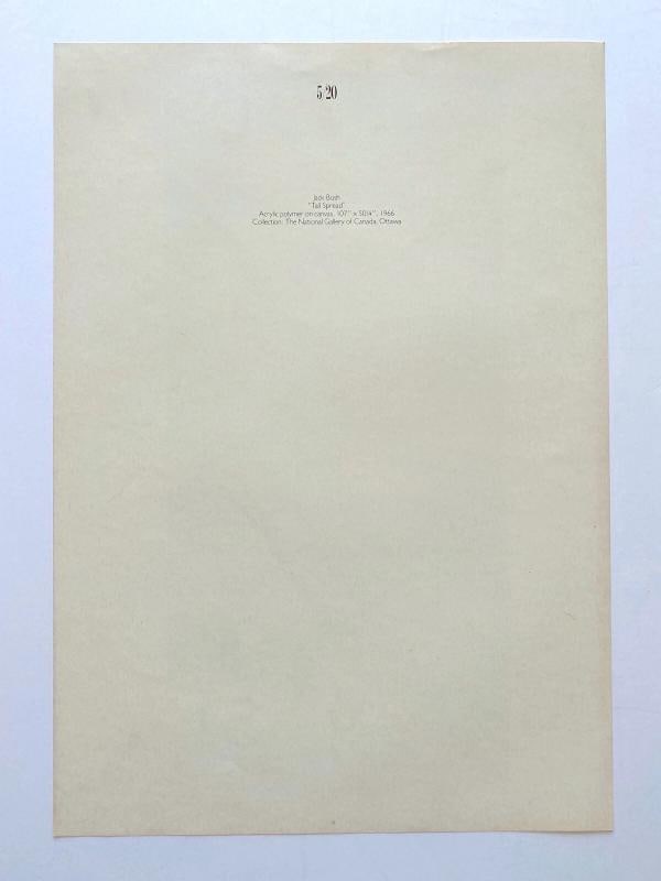 JACK BUSH RARE VTG 1979 MID CENTURY MODERN LITHOGRAPH PRINT " TALL SPREAD " 1966 - 10