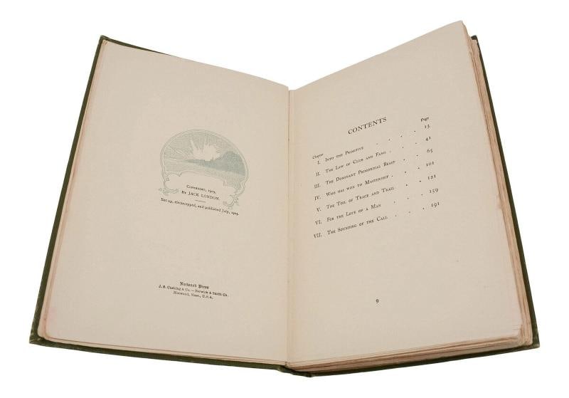 The Call of the Wild ~ by JACK LONDON ~ First Edition ~ 1st Printing 1903 - 7