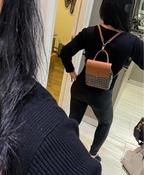 Goyard Mini Alpin Backpack Black & Tan (2025) - 12