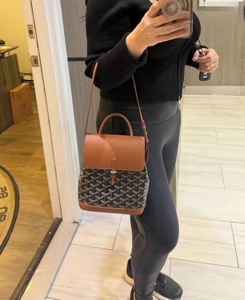 Goyard Mini Alpin Backpack Black & Tan (2025) - 14
