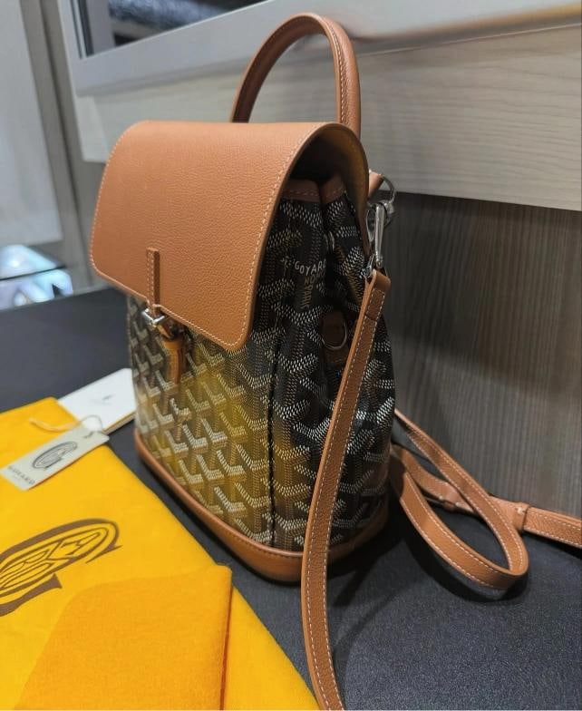 Goyard Mini Alpin Backpack Black & Tan (2025) - 3