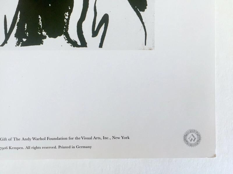 ANDY WARHOL FOUNDATION RARE VTG 1993 LITHOGRAPH PRINT "ARE YOU DIFFERENT " 1985 - 8