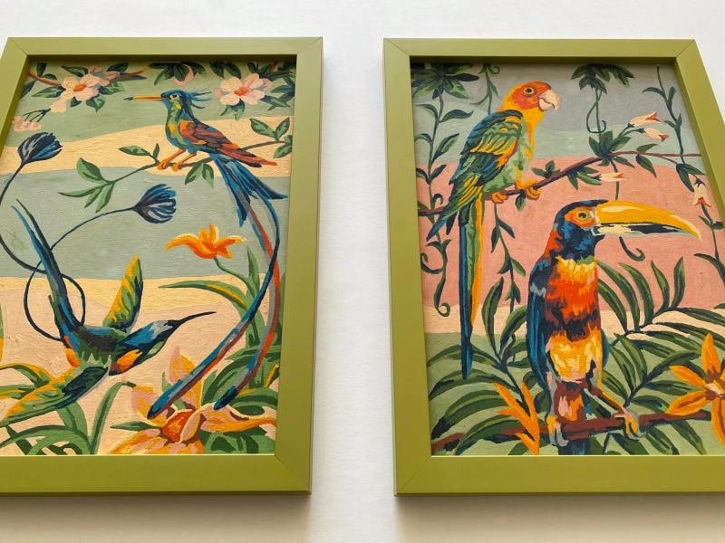 RARE VINTAGE 1950'S ART DECO PAINT BY NUMBER TROPICAL BIRDS FRAMED PAINTINGS SET - 15