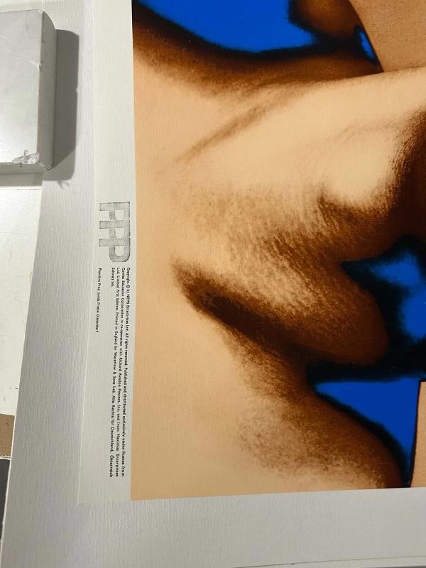 Beatles Set of 4 Posters Richard Avedon 1967 Original Printing Linen Stern - 18