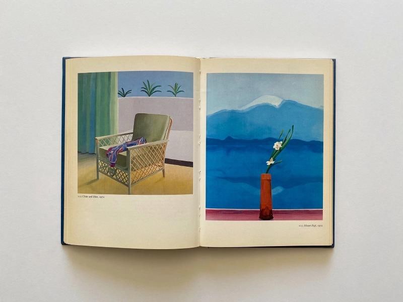 DAVID HOCKNEY RARE 1981 1ST EDTN COLLECTOR'S LITHO PRINT HARDCOVER POP ART BOOK - 11