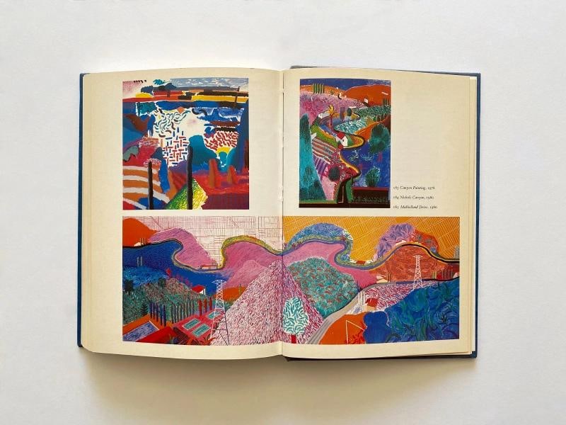 DAVID HOCKNEY RARE 1981 1ST EDTN COLLECTOR'S LITHO PRINT HARDCOVER POP ART BOOK - 17