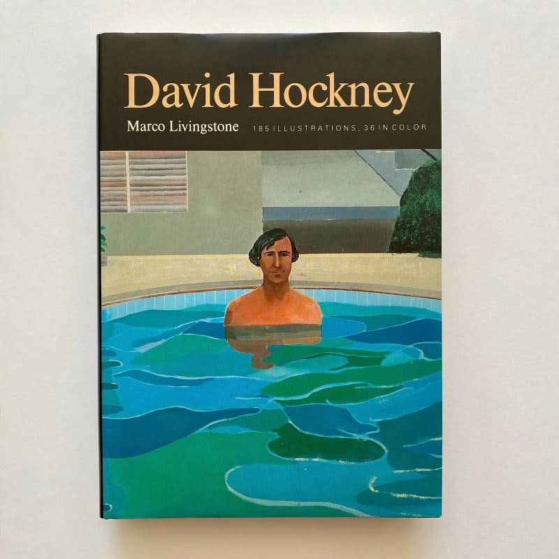 DAVID HOCKNEY RARE 1981 1ST EDTN COLLECTOR'S LITHO PRINT HARDCOVER POP ART BOOK: Binding: Hardcover,Language: English,Illustrator: DAVID HOCKNEY,Special Attributes: 1st Edition, Illustrated, RARE OUT OF PRINT, 1st American edition,Author: MARCO LIVINGSTONE,Publisher: Holt, Rinehar
