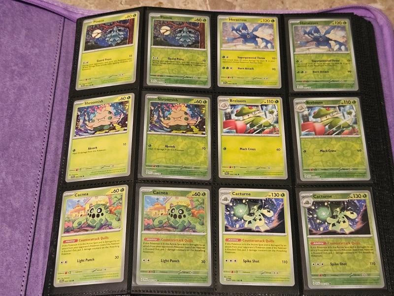 Pokemon Scarlet & violet Base Master Set Graded Cards Mint Condition - 15