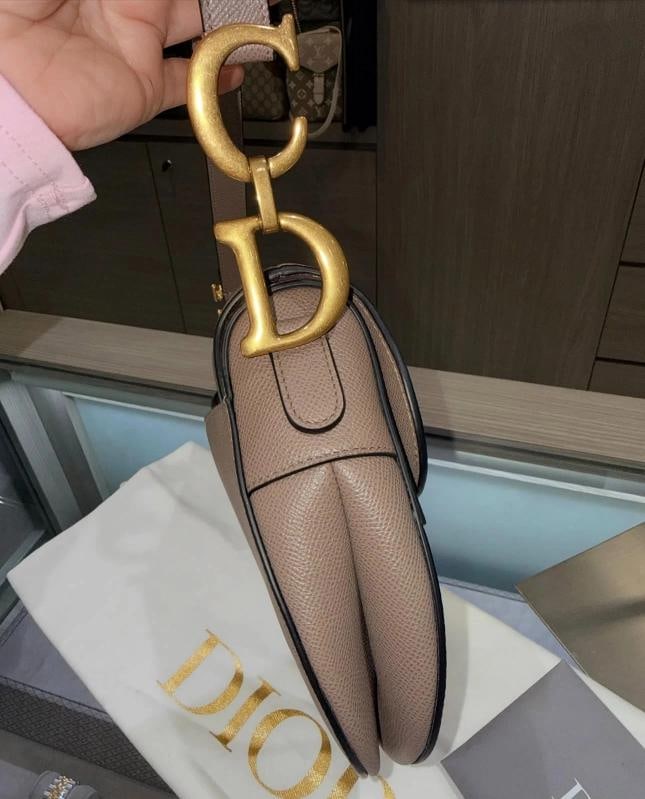 Christian Dior Taupe Saddle Bag (2023) - 8