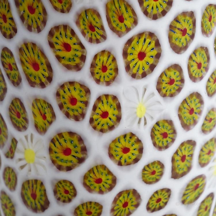 Vase with Redentore and Kiku Murrine Ermanno Toso for Fratelli Toso 1960s - 7