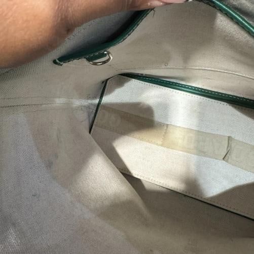 Goyard Capetien Messenger Bag Green - 4