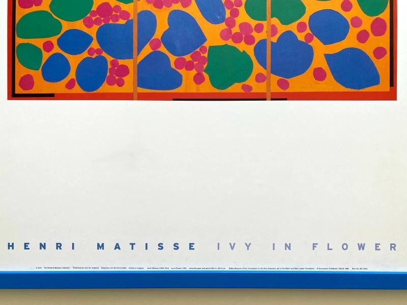 HENRI MATISSE RARE LITHOGRAPH PRINT FRAMED ICONIC POSTER " IVY IN FLOWER " 1953 - 8