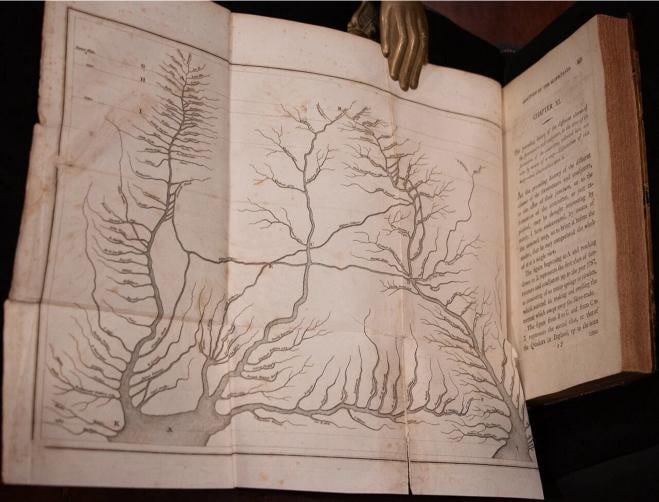 1808 Abolition of the African Slave Trade Thomas Clarkson 1st Edition Fold Outs - 9