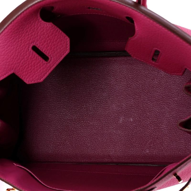 Hermes Birkin Handbag Pink Fjord with Gold Hardware 30 - 5
