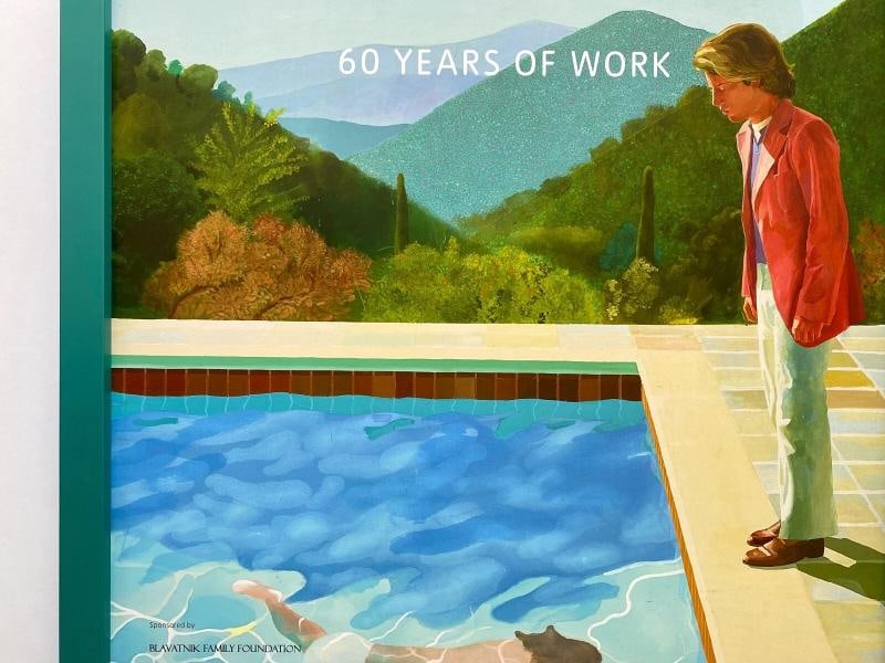DAVID HOCKNEY RARE LITHOGRAPH PRINT TATE MUSEUM FRAMED POP ART EXHBTN POSTER - 5