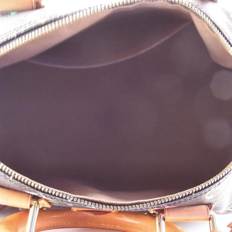 Louis Vuitton Speedy Handbag Monogram Multicolor 30 - 5