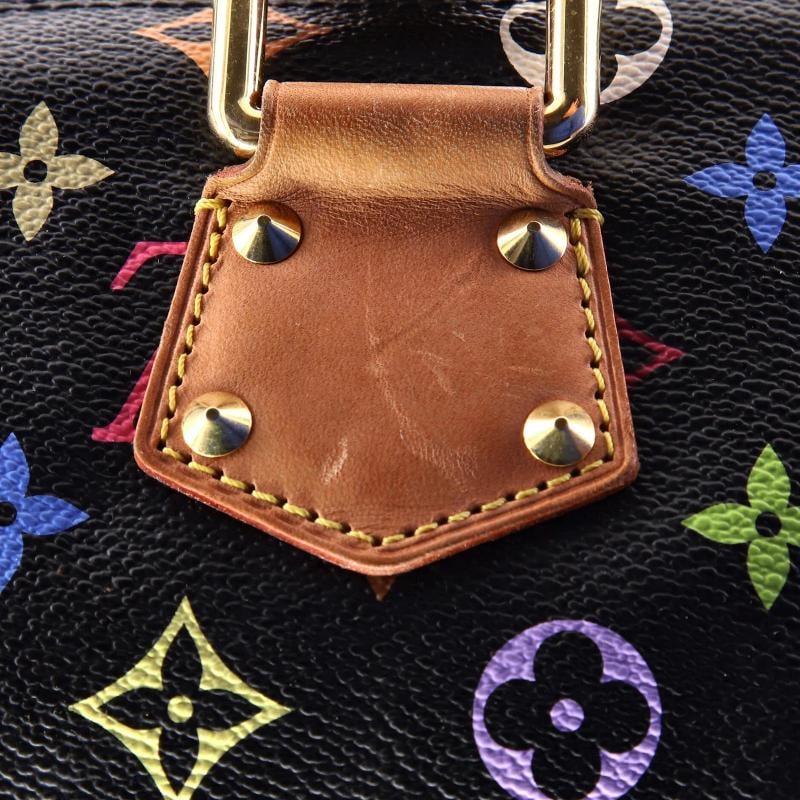Louis Vuitton Speedy Handbag Monogram Multicolor 30 - 6