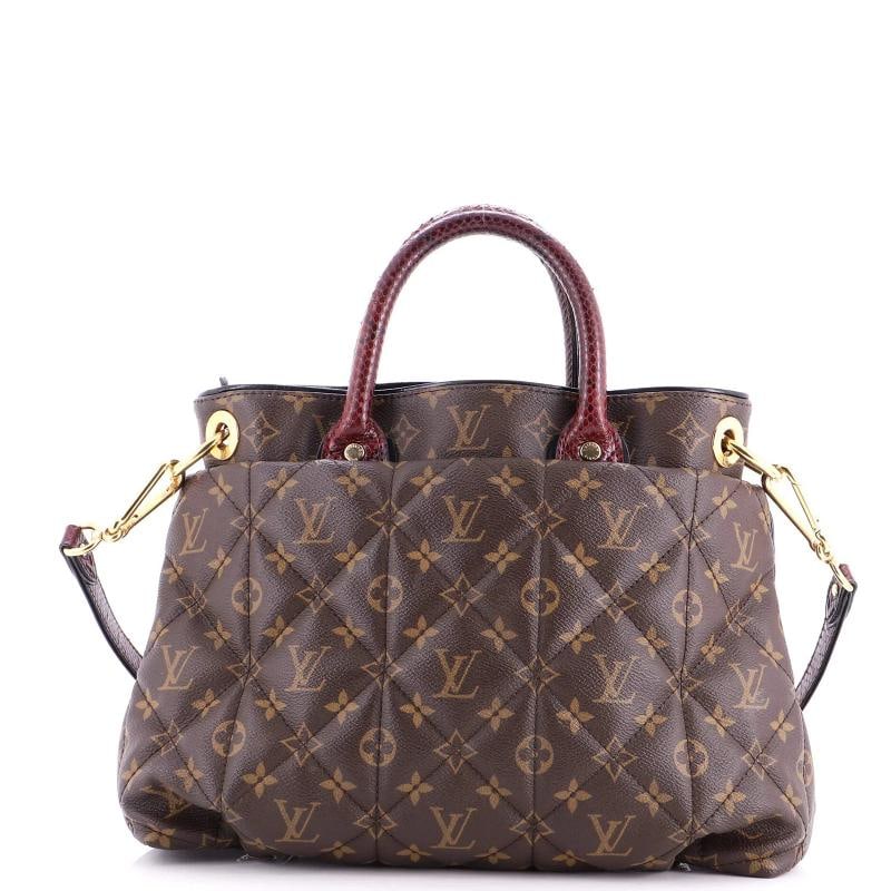 Louis Vuitton Exotique Handbag Monogram Etoile MM - 3
