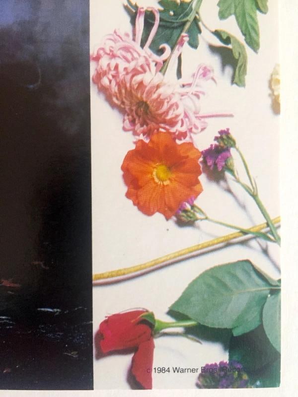 RARE VNTG 1984 ICONIC "PRINCE PURPLE RAIN" WARNER BROS PROMO COLLECTOR'S POSTER~(12 1/2" W X 12 1... - 8