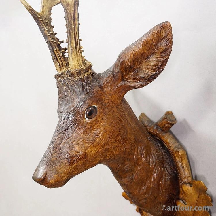 Large Naturalistic Black Forest Carved Deer Trophy, ca. 1920s - 3