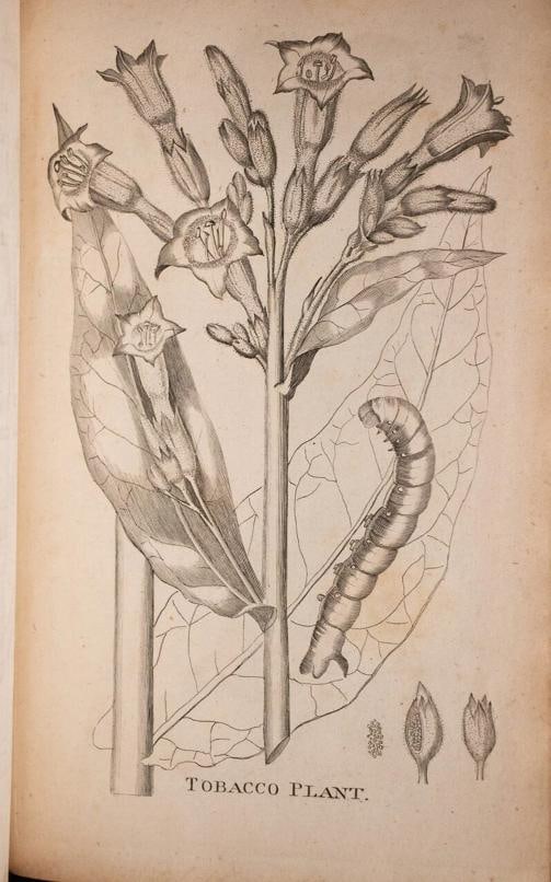 1795 View of the American United States Winterbotham Extra Illustrated 1stED - 19
