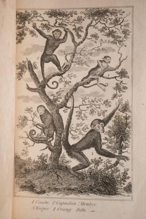 1795 View of the American United States Winterbotham Extra Illustrated 1stED - 8