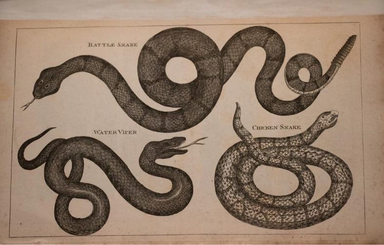 1795 View of the American United States Winterbotham Extra Illustrated 1stED - 9