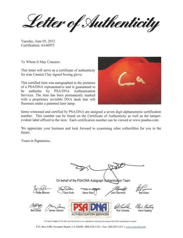 Muhammad Ali "Cassius Clay" Signed Red Everlast Boxing Glove PSA Itp #4A40973 - 4
