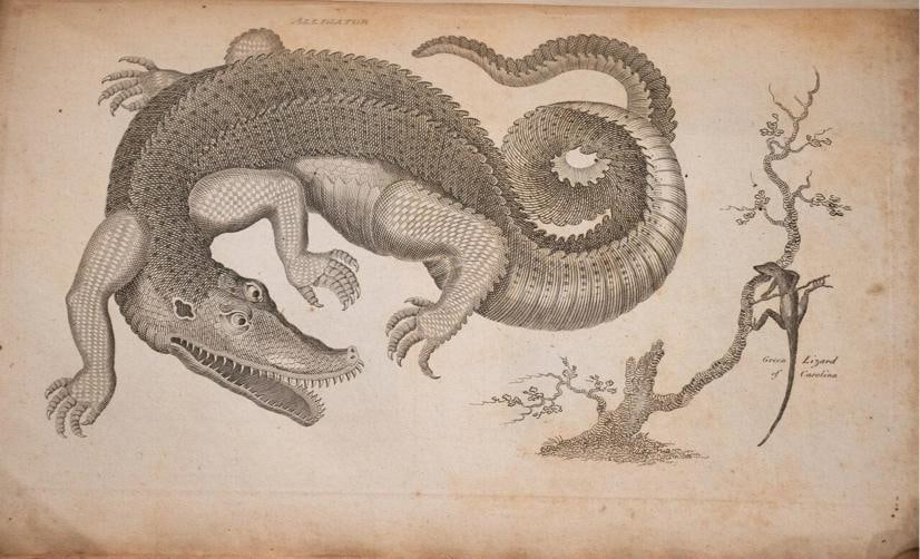 1795 View of the American United States Winterbotham Extra Illustrated 1stED - 10