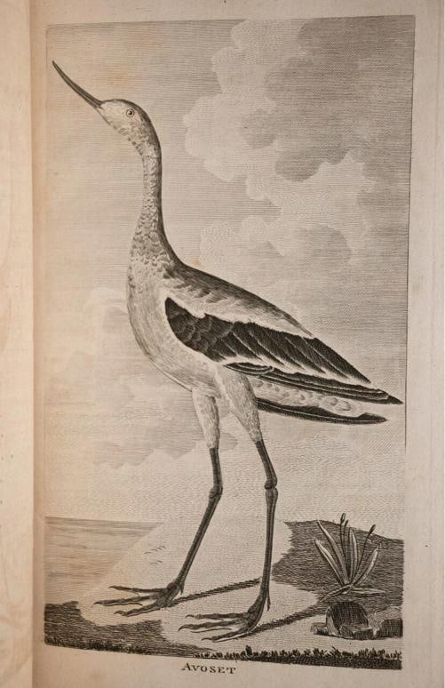 1795 View of the American United States Winterbotham Extra Illustrated 1stED - 17