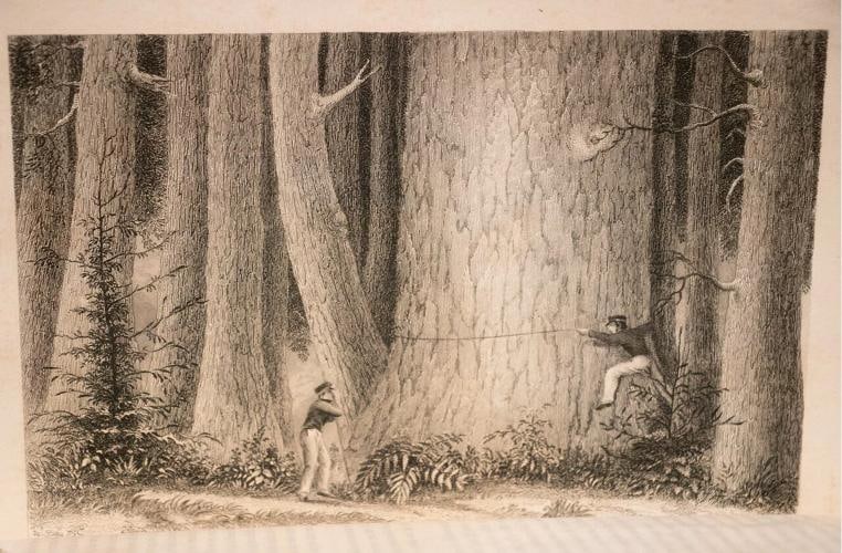 Charles Wilkes / Narrative of the United States Exploring Expedition During - 16