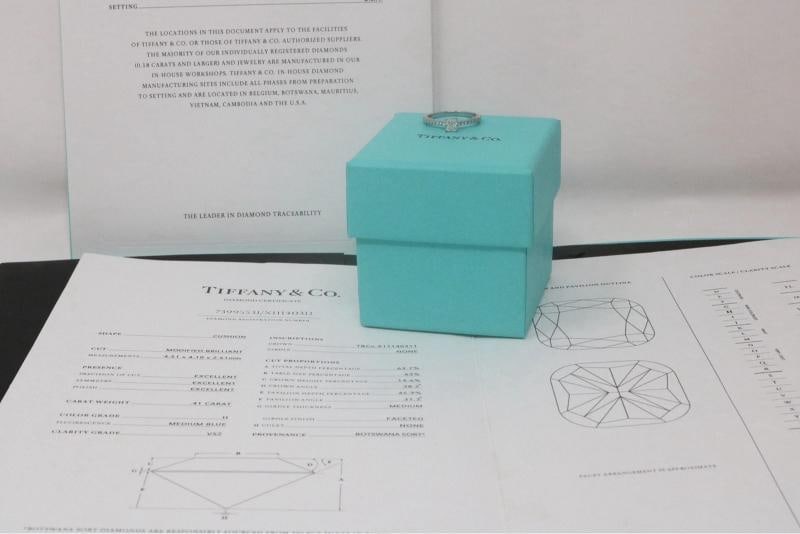 Tiffany & Co Platinum NOVO Cushion Diamond Engagement Ring 0.57ct - 4