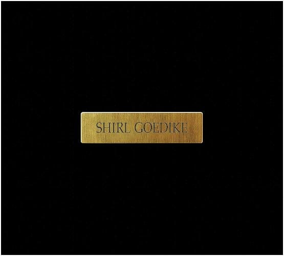 Shirl Goedike Large Original Watercolor Painting Architectural Framed Artwork - 3