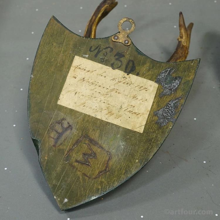 Set of Six Roe Deer Trophies on Wooden Plaques,Salem, Germany ca. 1900s - 9