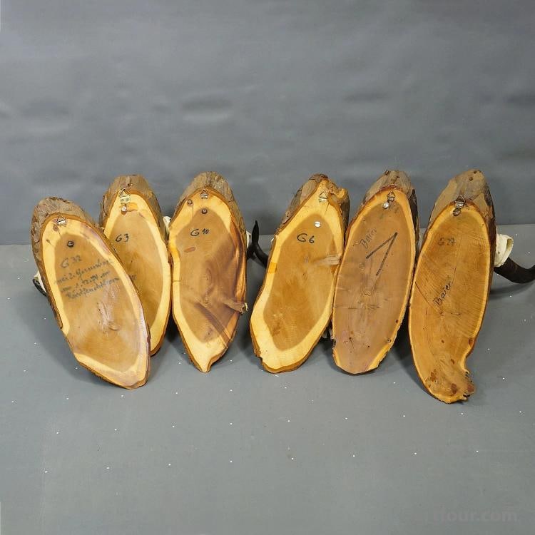 Vintage Set of Six Chamois Trophies on Wooden Plaques, Germany ca. 1970s - 7